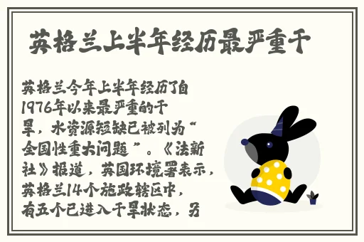 精彩网平台怎么样